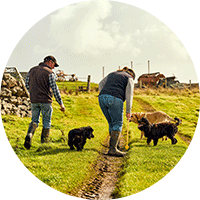 Dog Walking Boots Comfortable Walking Boots Tagged Socks MuckbootEU