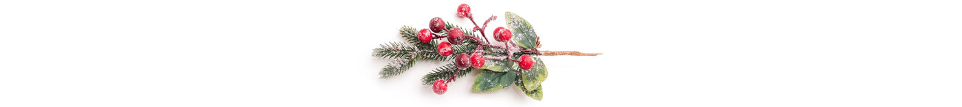 Snow dusted pine branches, berries and leaves