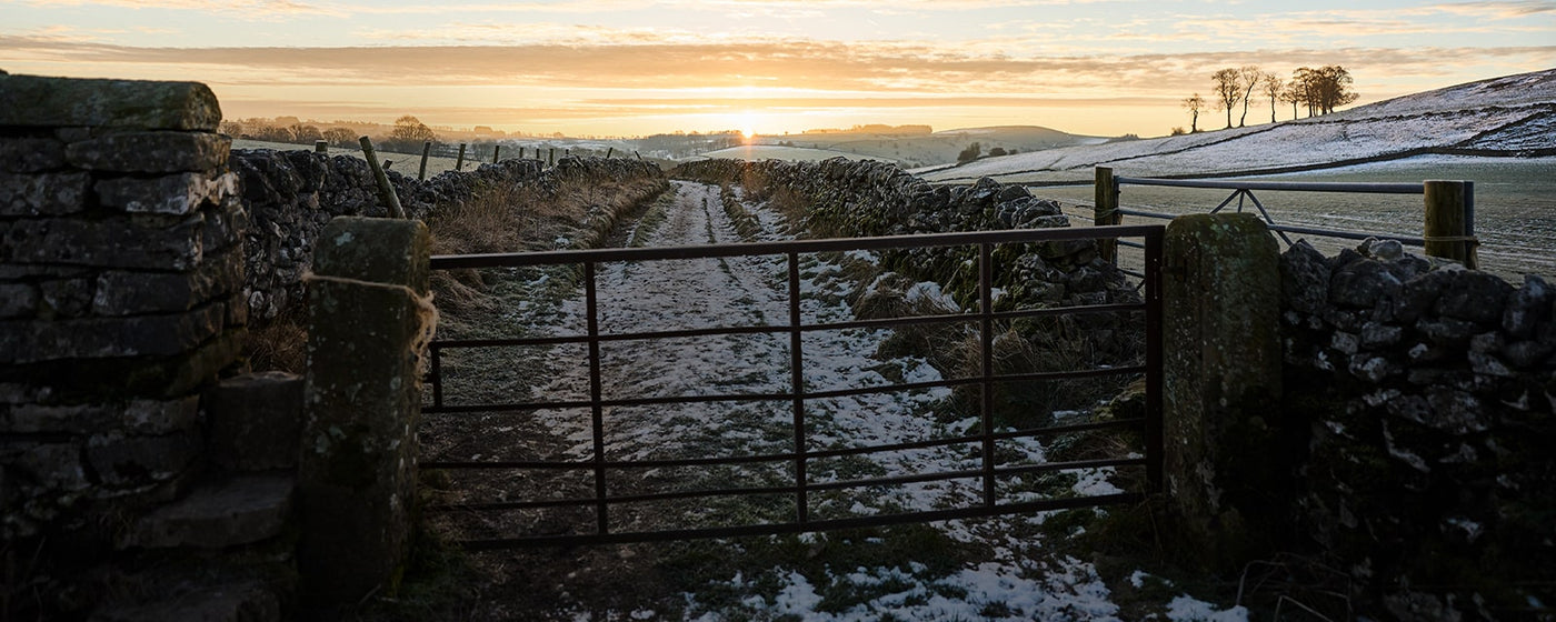 A metal gate with an icy and snow covered path with the sun rising ahead 